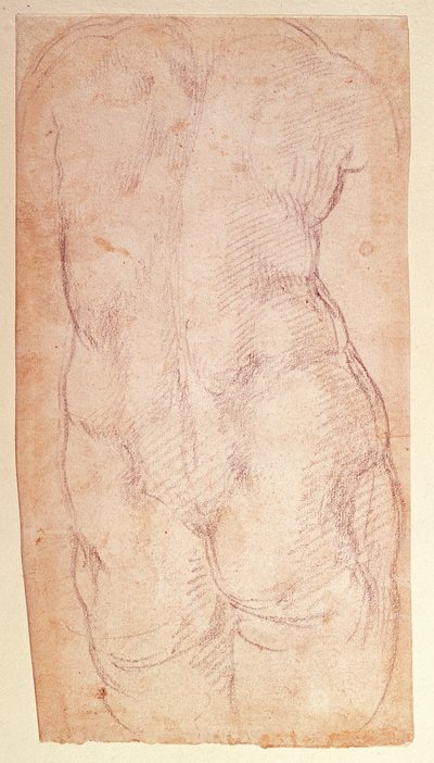 Studie des Rückens einer nackten Figur von Michelangelo Buonarroti